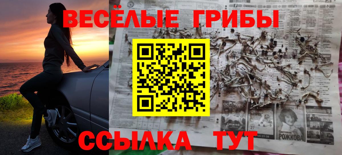 Галлюциногенные грибы GOLDEN TEACHER Рославль